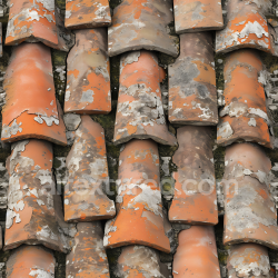 seamless Seamless 3D Weathered Terracotta Roof Tile PBR Texture with Moss and Lichen texture 8k free download PBR