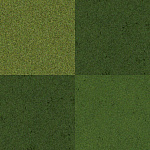 Grass