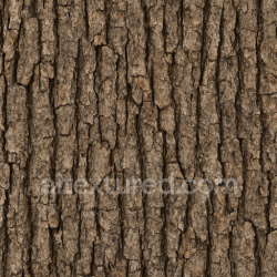 seamless Worn Oak Bark Texture Seamless 1024X1024 texture 1024x1024 free download PBR