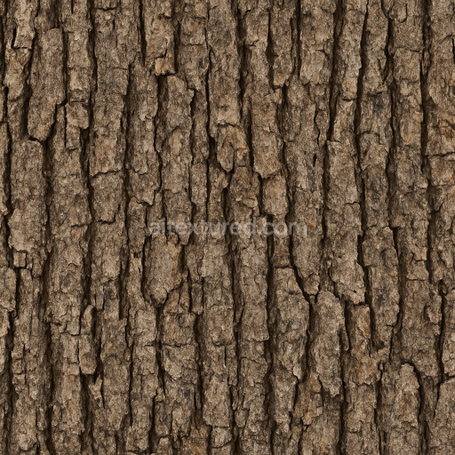 Worn Oak Bark Texture Seamless 1024X1024