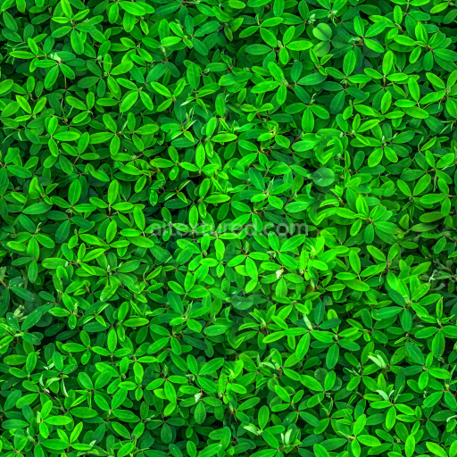 Seamless Flower PBR Texture Collection