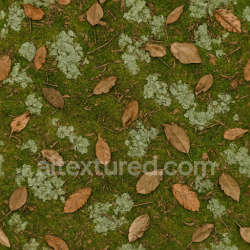 seamless Seamless 3d texture pbr 8k of peat moss ground with lichen spots and organic debris texture 8k free download PBR