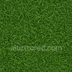 seamless Detailed Grass Seamless Texture texture 8k free download PBR