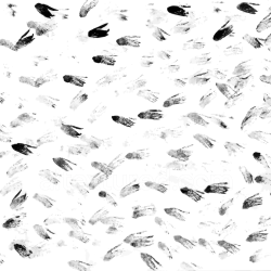 seamless Seamless 3D PBR Texture of Stylized Black and White Feather Pattern texture 8k free download PBR