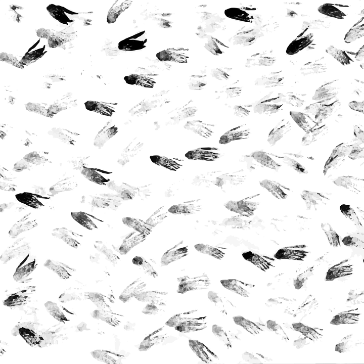 White & Black of Stylized Black and White Feather Pattern seamless PBR texture preview