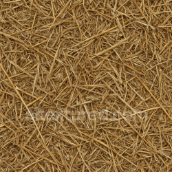 seamless Coarse Straw Seamless Texture texture 1024x1024 free download PBR