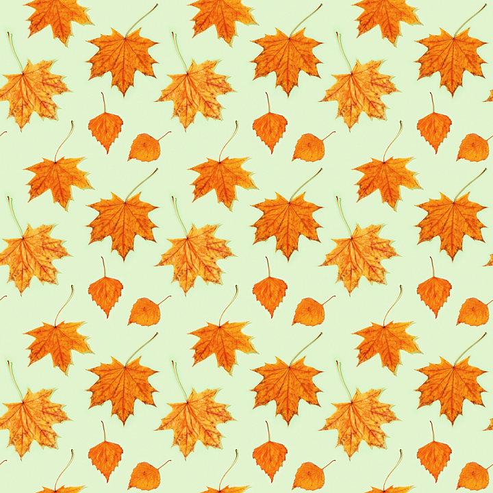 Vibrant Orange Maple and Birch Autumn Leaves Wood seamless PBR texture preview