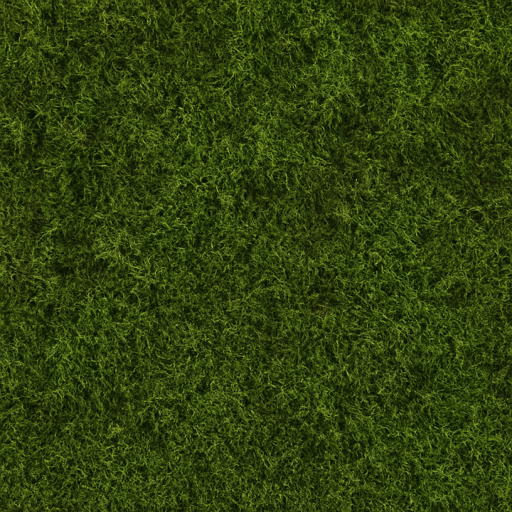 Fine Forest Moss seamless PBR texture preview