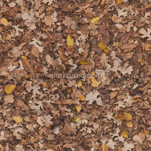 Seamless High-Quality Forest Ground Texture