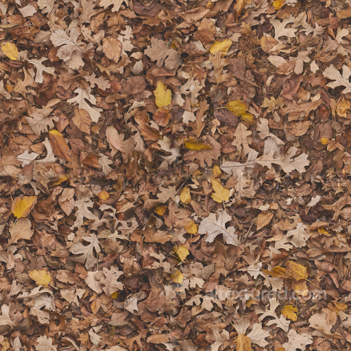 Seamless High-Quality Forest Ground Texture seamless Ground surface PBR texture