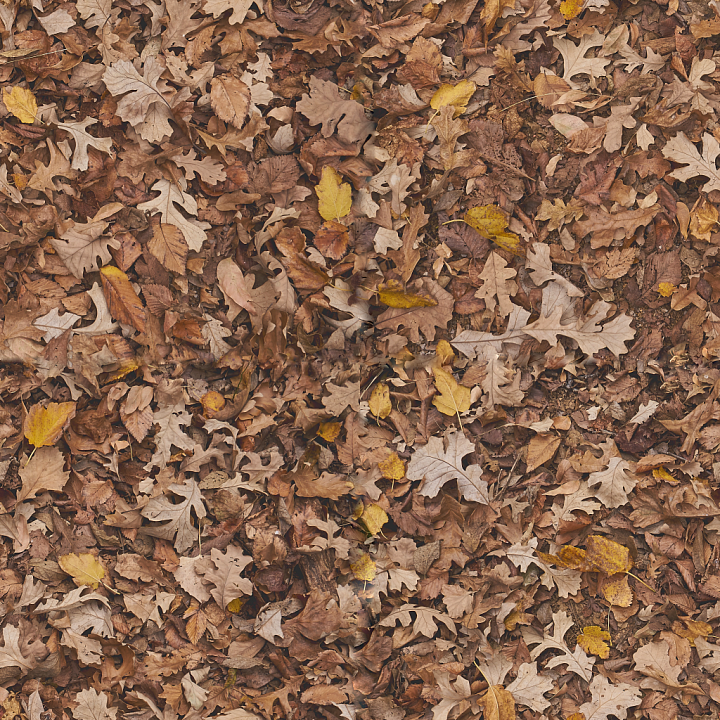 High-Quality Forest Ground seamless PBR texture preview