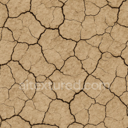 seamless Dry Fire Ground Texture texture 1024x1024 free download PBR