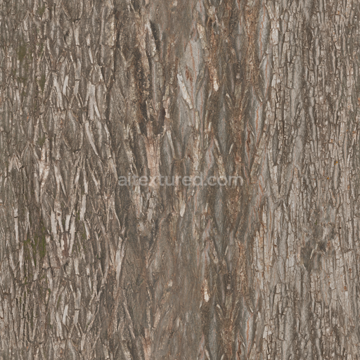 Tree Bark Wood — Bark Wood Forest Nature Tree Bark — PBR seamless 3D texture