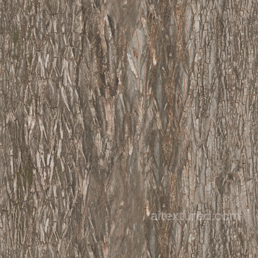 Tree Bark Wood - Bark Wood Forest Nature Tree Bark seamless Bark PBR texture