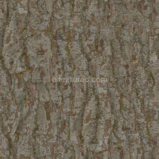 Preview — Archviz Bark Organic Pine Substance Designer Tree — Seamless PBR Texture