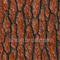 seamless Shiny Pine Bark Texture Seamless texture 8k free download PBR