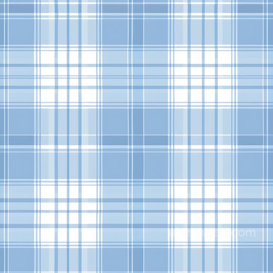 Soft Blue and White Classic Plaid Fabric Pattern Seamless Texture Plaid texture preview
