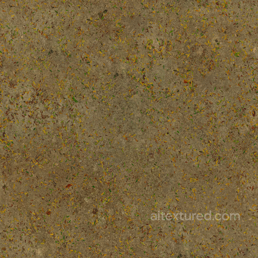 Park Dirt seamless Park pavement PBR texture