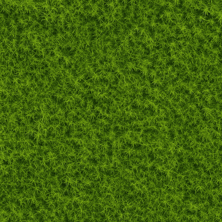 Fine Green Moss seamless PBR texture preview