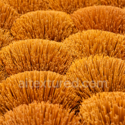 seamless High-detail PBR texture of dense orange straw-like bristle ground surface texture 8k free download PBR