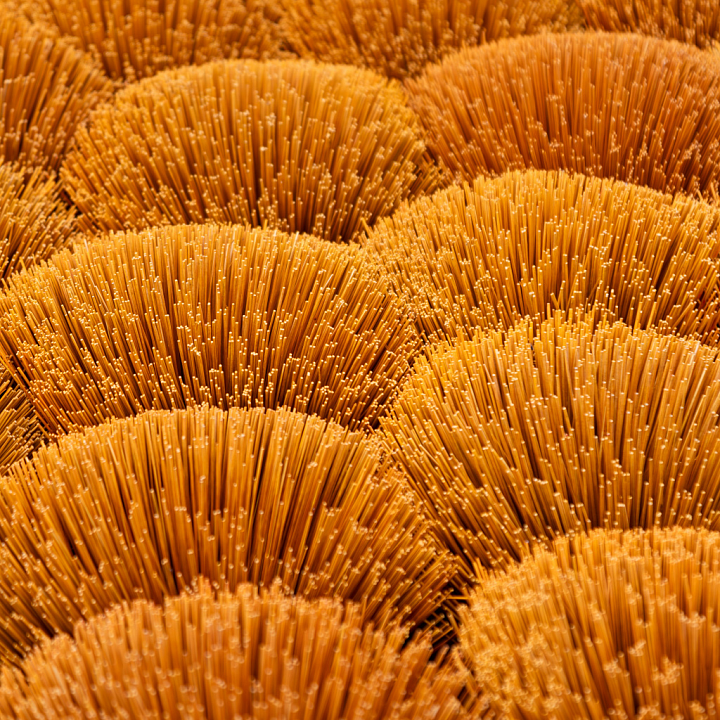 High-Detail Of Dense Orange Straw-Like Bristle Ground Surface seamless PBR texture preview