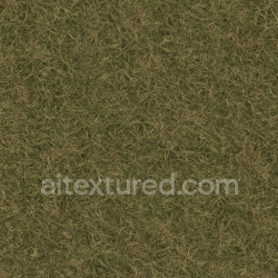 seamless Rough Grass Texture texture 1024x1024 free download PBR