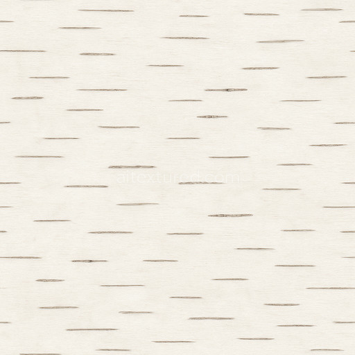 Clean Birch Bark Texture Seamless 1024X1024