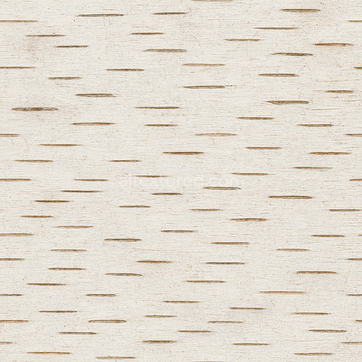 Fine Birch Bark Texture Seamless 1024X1024