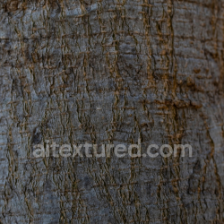 seamless Detailed Rustic Tree Bark Texture with Natural Grooves and Knots texture 8k free download PBR