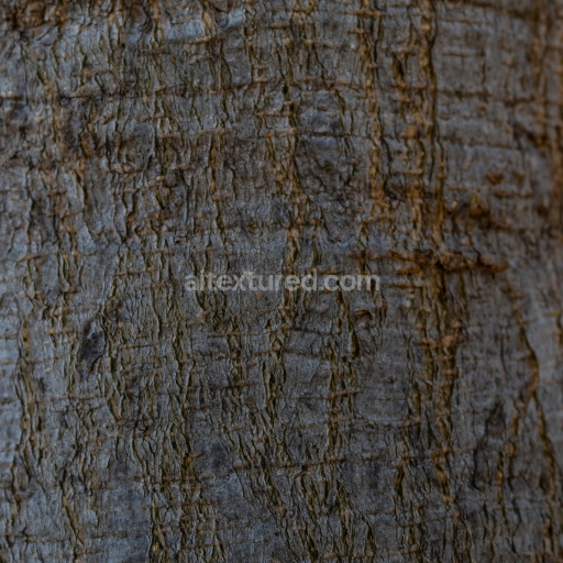 Detailed Rustic Tree Bark Texture with Natural Grooves and Knots