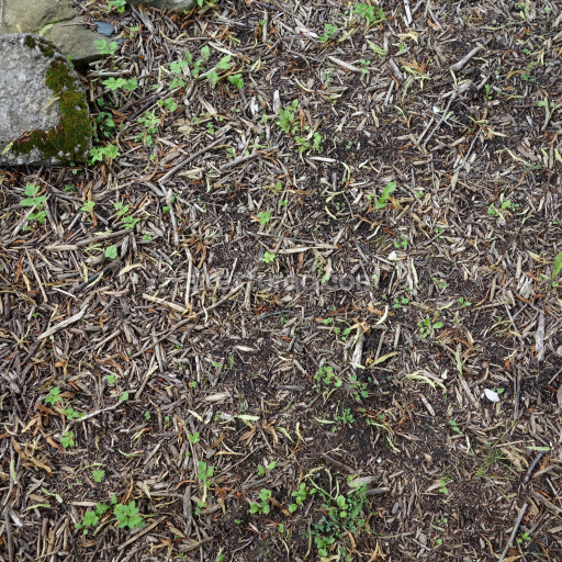 Preview — High-Resolution PBR Soil Texture Featuring Natural Twigs and Small Green Plants