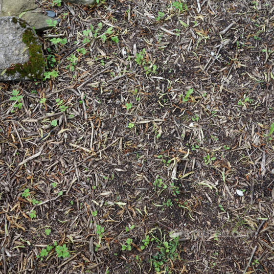 PBR Soil Texture Featuring Natural Twigs and Small Green Plants Ground surface texture preview