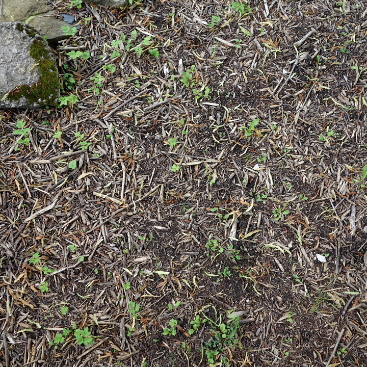 Soil Featuring Natural Twigs and Small Green Plants seamless PBR texture preview