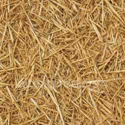 seamless Detailed Straw Seamless Texture texture 8k free download PBR