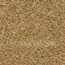 seamless Loose Dried Grass Seamless Texture texture 1024x1024 free download PBR