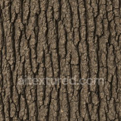 seamless Seamless Oak Bark Texture Seamless 1024X1024 texture 1024x1024 free download PBR
