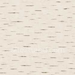 seamless Smooth Birch Texture Seamless texture 8k free download PBR