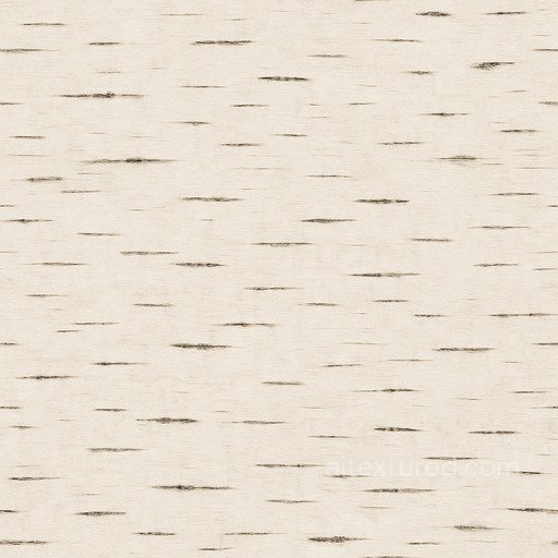 Smooth Birch Seamless Texture seamless Wood PBR texture