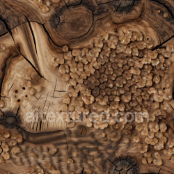 seamless Seamless 3D PBR Texture of Knotty Burl Wood with Natural Cracks and Grain texture 8k free download PBR