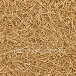seamless Photorealistic Straw Seamless Texture texture 1024x1024 free download PBR