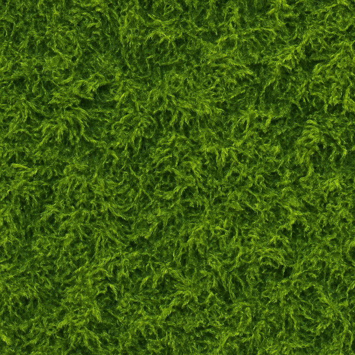 Decorative Wet Moss seamless PBR texture preview