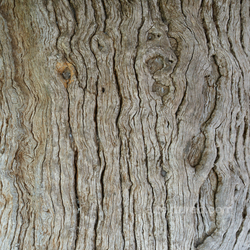 Detailed Old Weathered Wood Texture with Natural Grain and Knots seamless Wood PBR texture