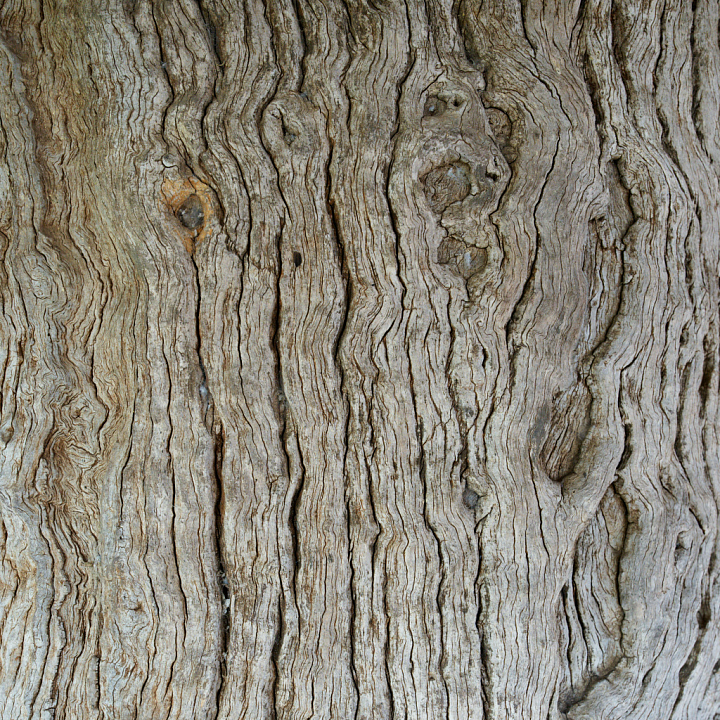 Detailed Old Weathered Wood with Natural Grain and Knots seamless PBR texture preview