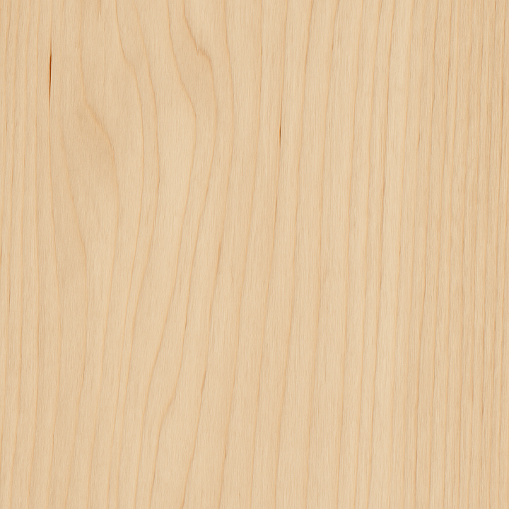 Birch Wood With Fine Grain And Light Wood Tones seamless PBR texture preview
