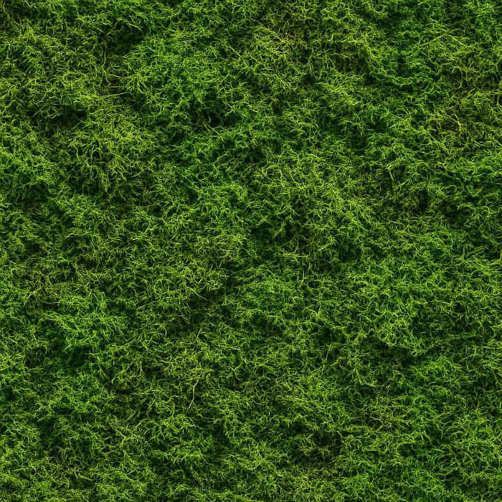 Decorative Forest Moss seamless PBR texture preview