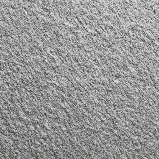 Seamless 3D Felt PBR Texture Featuring Dense Soft Gray Fibers with Subtle Fuzzy Nap