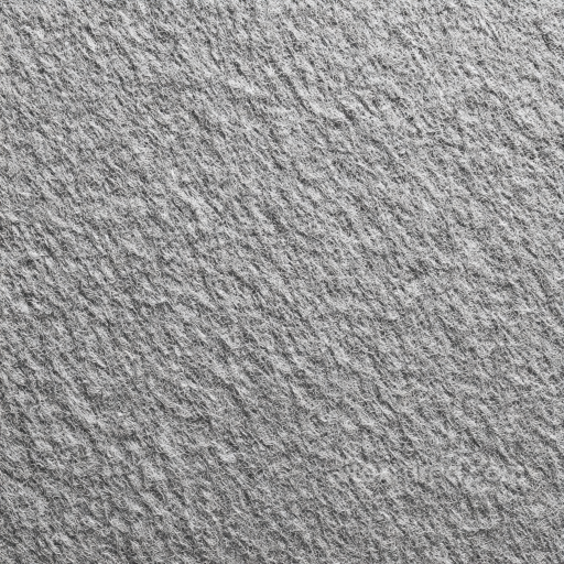 Felt PBR Texture Featuring Dense Soft Gray Fibers with Subtle Fuzzy Nap seamless Felt PBR texture