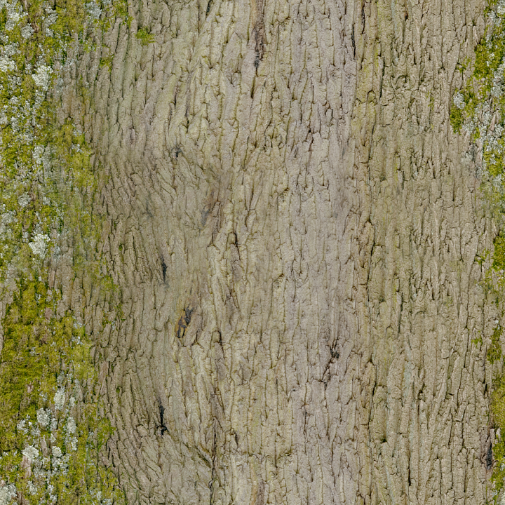 Bark Moss Rough - Moss Rough Old Tree Bark Wood seamless PBR texture preview