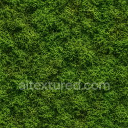 seamless Decorative Forest Moss Texture Seamless 1024X1024 texture 1024x1024 free download PBR