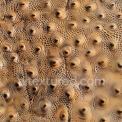 seamless Seamless 3D PBR Texture of Tan Pebbled Leather with Raised Bumps and Detailed Grain texture 8k free download PBR